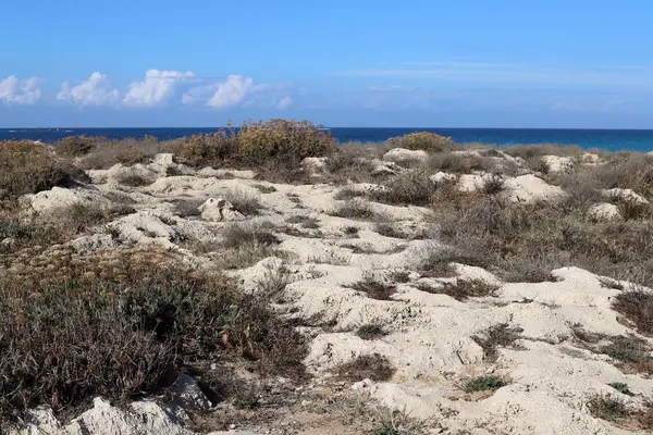 Vild Strand Vid Medelhavets Stränder Norra Israel — Stockfoto