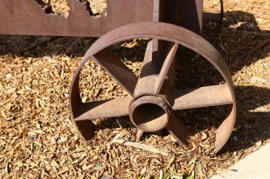 Mühendislik ve doğada tekerlek uygulaması 