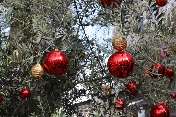 Yeşil Noel Ağaçları Noel Hediyeleri Oyuncakları Srail Hayfa Sokaklarında Satılıyor — Stok fotoğraf