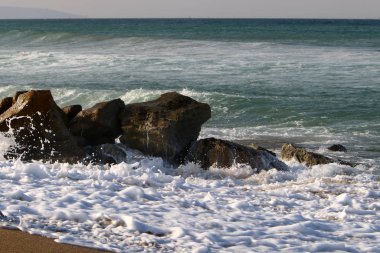 taşlar İsrail devletinin kuzeyinde Akdeniz kıyısında bir parkta yalan 