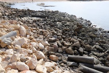 taşlar İsrail devletinin kuzeyinde Akdeniz kıyısında bir parkta yalan 