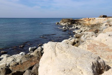 taşlar İsrail devletinin kuzeyinde Akdeniz kıyısında bir parkta yalan 