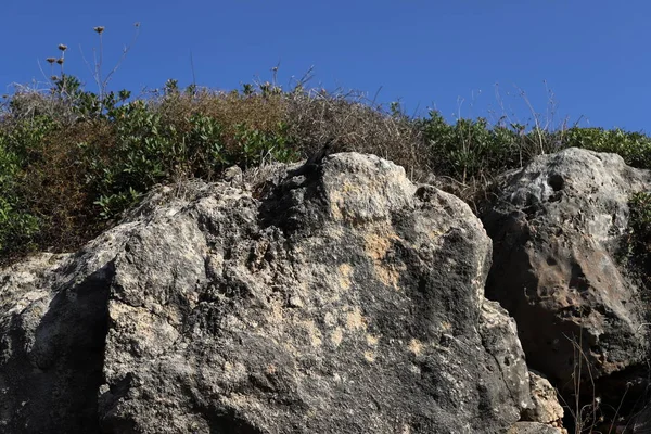 Камни Лежат Парке Берегу Средиземного Моря Севере Государства Израиль — стоковое фото