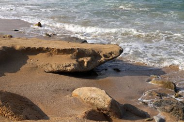 taşlar İsrail devletinin kuzeyinde Akdeniz kıyısında bir parkta yalan 