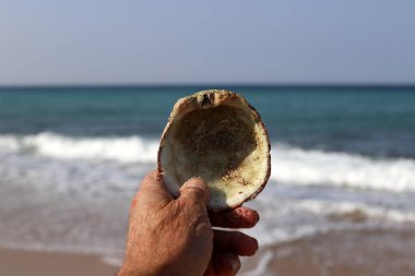 taşlar İsrail devletinin kuzeyinde Akdeniz kıyısında bir parkta yalan 