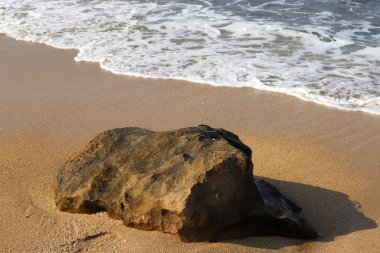 taşlar İsrail devletinin kuzeyinde Akdeniz kıyısında bir parkta yalan 