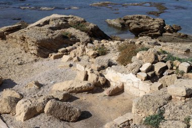 taşlar İsrail devletinin kuzeyinde Akdeniz kıyısında bir parkta yalan 