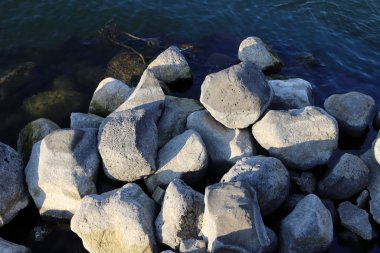 taşlar İsrail devletinin kuzeyinde Akdeniz kıyısında bir parkta yalan 