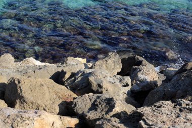 taşlar İsrail devletinin kuzeyinde Akdeniz kıyısında bir parkta yalan 