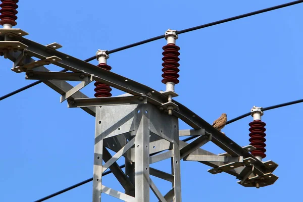Ein Strommast Mit Stromisolatoren Und Drähten Wird Nordisrael Installiert — Stockfoto