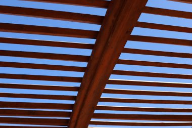 İsrail 'in kuzeyindeki Akdeniz kıyılarındaki bir şehir parkında güneşten tepe örtüsü. 