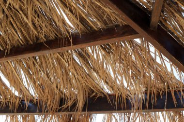 İsrail 'in kuzeyindeki Akdeniz kıyılarındaki bir şehir parkında güneşten tepe örtüsü. 