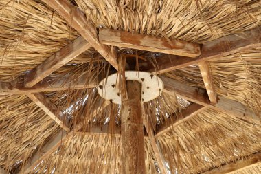 İsrail 'in kuzeyindeki Akdeniz kıyılarındaki bir şehir parkında güneşten tepe örtüsü. 