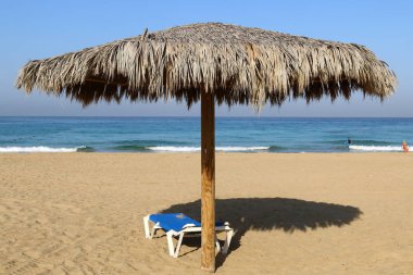 İsrail 'in kuzeyindeki Akdeniz kıyılarındaki bir şehir parkında güneşten tepe örtüsü. 