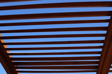 İsrail 'in kuzeyindeki Akdeniz kıyılarındaki bir şehir parkında güneşten tepe örtüsü. 