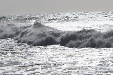 Kış fırtınası ve şiddetli rüzgar Akdeniz 'de eyaletin kuzeyinde İsrail' e doğru esiyor. 