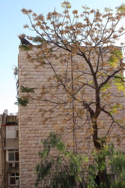 İsrail Devleti 'nin başkenti Kudüs' teki binalar ve yapılar. Kudüs üç dinli bir şehirdir. 