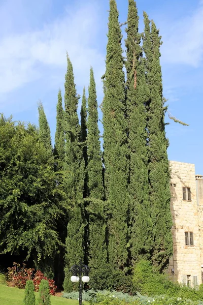 Centro Mundial Bah Haifa Israel Conocido Por Sus Jardines Extendidos —  Fotos de Stock