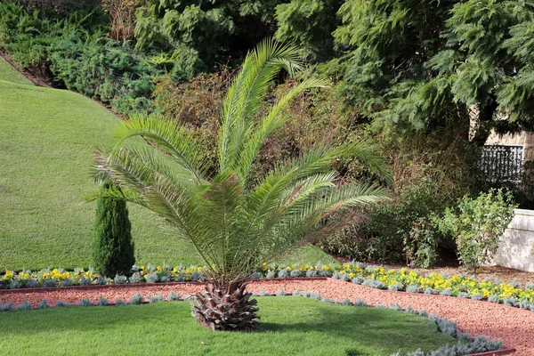 Hayfa, İsrail 'deki Bah' World Center. Bahçeleriyle tanınan Carmel dağ sırasına yayılmış 