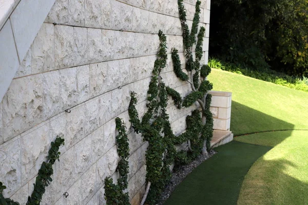 以色列海法巴哈世界中心The Bah World Center Haifa Israel 因其花园散布在卡梅尔山脉而闻名 — 图库照片