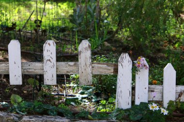İsrail 'de Akdeniz kıyısındaki bir şehir parkında çit. 