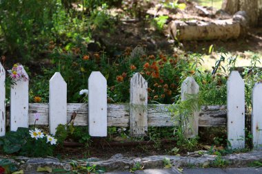 İsrail 'de Akdeniz kıyısındaki bir şehir parkında çit. 
