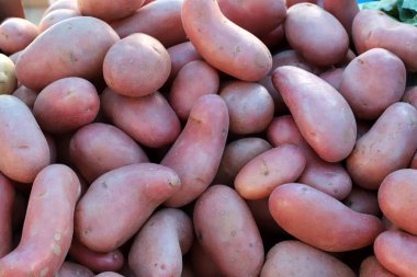 Aralık ayında İsrail 'in Acre kentindeki bir pazarda meyve ve sebze satılıyor.  