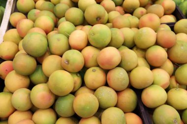 Aralık ayında İsrail 'in Acre kentindeki bir pazarda meyve ve sebze satılıyor.  