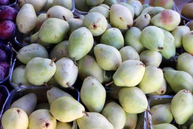 Aralık ayında İsrail 'in Acre kentindeki bir pazarda meyve ve sebze satılıyor.  