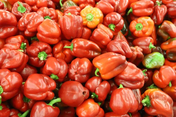 Frutas Verduras Vendidas Diciembre Bazar Ciudad Acre Israel — Foto de Stock