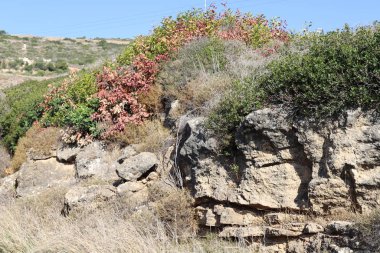 İsrail 'in kuzeyindeki dağlarda taş ve kaya dokusu 
