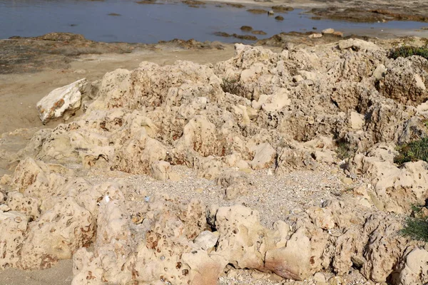 Textura Piedras Rocas Las Montañas Del Norte Israel — Foto de Stock