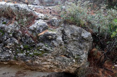 İsrail 'in kuzeyindeki dağlarda taş ve kaya dokusu 