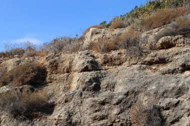 İsrail 'in kuzeyindeki dağlarda taş ve kaya dokusu 