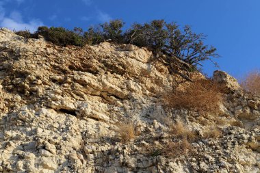 İsrail 'in kuzeyindeki dağlarda taş ve kaya dokusu 