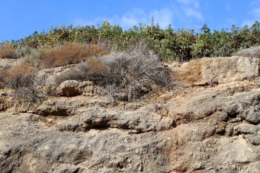İsrail 'in kuzeyindeki dağlarda taş ve kaya dokusu 