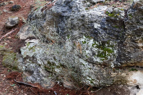 Textura Piedras Rocas Las Montañas Del Norte Israel — Foto de Stock