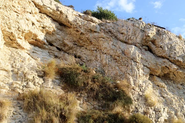 Textura Piedras Rocas Las Montañas Del Norte Israel —  Fotos de Stock