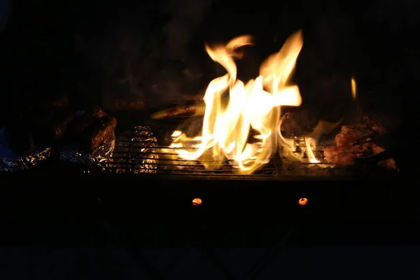 Ein Feuer Brennt Einem Feuer Und Rauch Kommt — Stockfoto