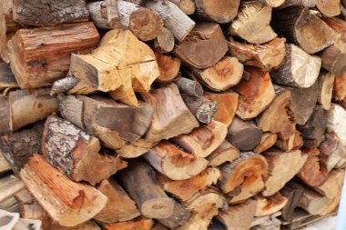 Kuzey İsrail 'de soğuk bir kış için evin avlusunda yakacak odun kesilir. 