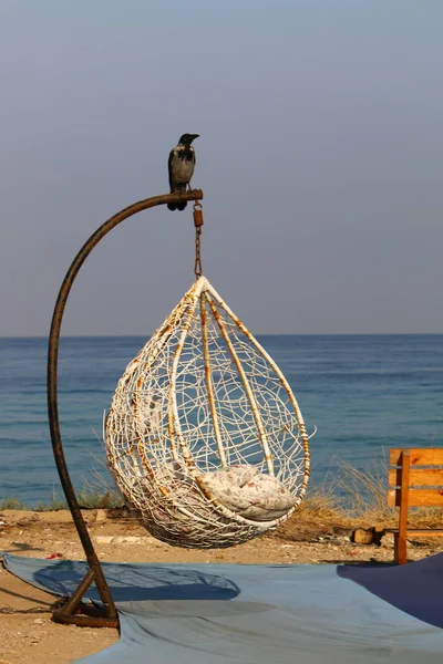 Una Silla Ocio Encuentra Parque Ciudad Orillas Del Mar Mediterráneo — Foto de Stock