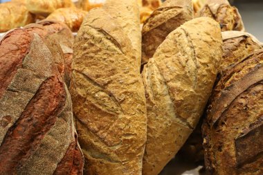 İsrail 'de büyük bir mağazada üretilen ve satılan çeşitli ekmek ve fırın ürünleri. 