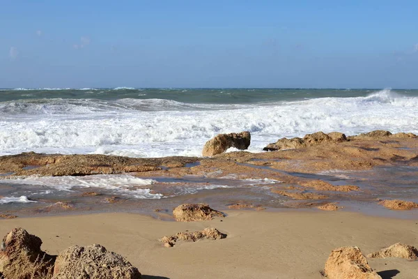 イスラエル北部の地中海沿岸 — ストック写真