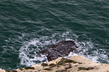 İsrail 'in kuzeyindeki Akdeniz kıyıları 