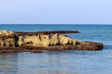 İsrail 'in kuzeyindeki Akdeniz kıyıları 