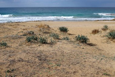 İsrail 'in kuzeyindeki Akdeniz kıyıları 