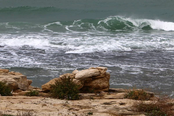 Srail Kuzeyindeki Akdeniz Kıyıları — Stok fotoğraf