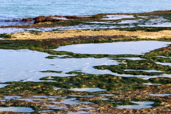 Costa Mediterrânica Norte Israel — Fotografia de Stock