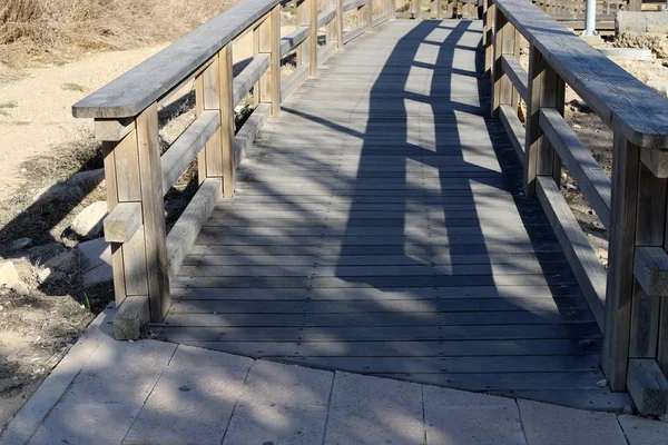 Pedestrian Road City Park Israel — Stock Photo, Image