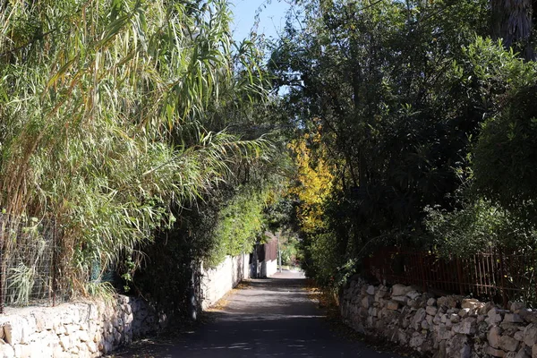 Droga Dla Pieszych Parku Miejskim Izraelu — Zdjęcie stockowe